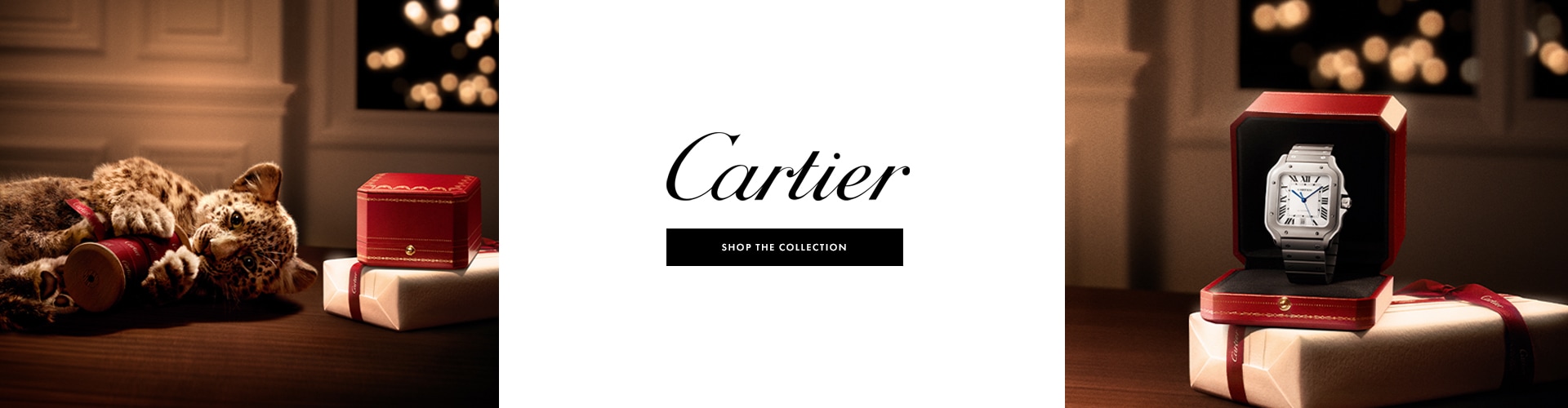 Cartier Santos Banner - Shop the Collection image